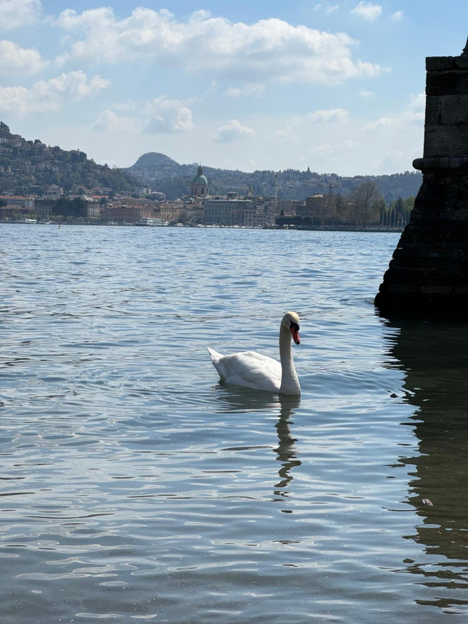 Portatorre Suite, A Charming Apartment In The Heart Of Como, Free Private Parking, Air Conditioning & More! Exterior photo
